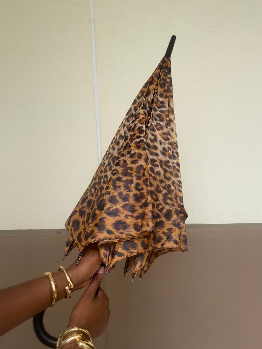 RainyDayz Umbrella (Animal Pint)