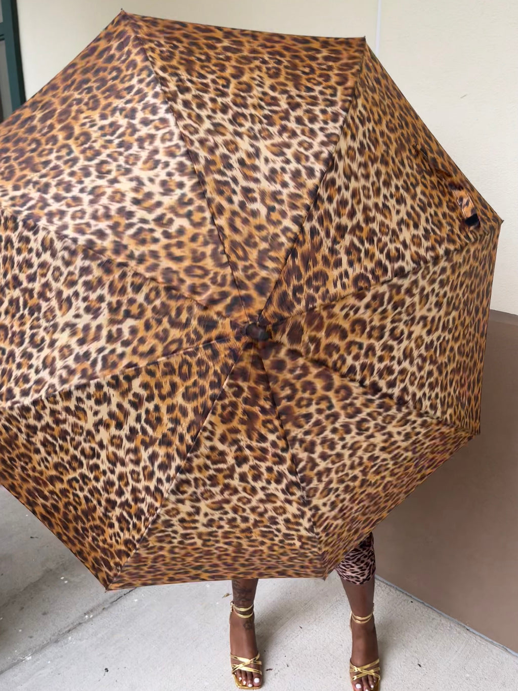 RainyDayz Umbrella (Animal Pint)